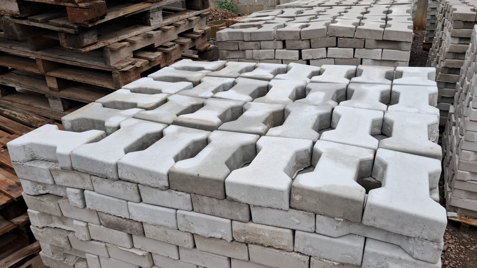 Paver Ossinho Polido